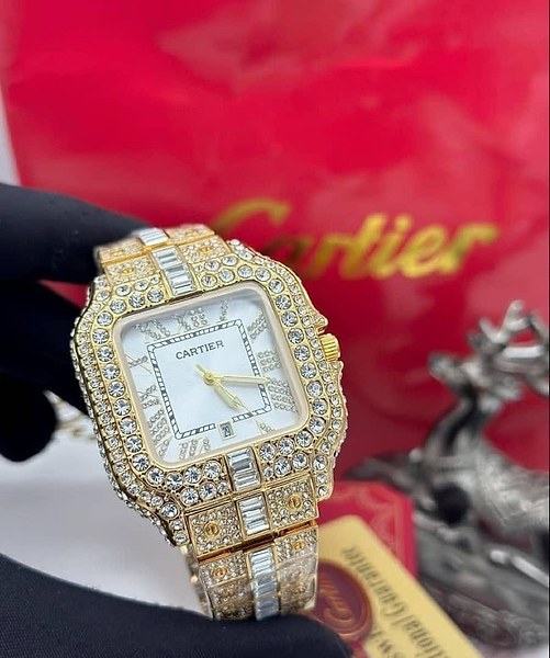 Cartier Silver Ice Watch