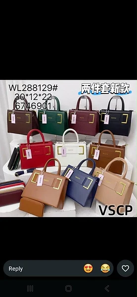 Stylish Handbag Set